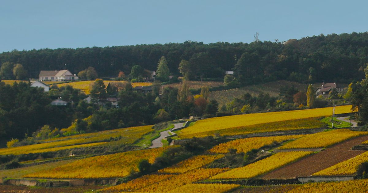 France Bleu Bourgogne